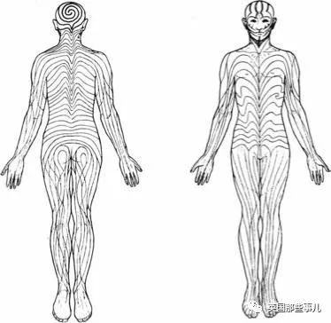 这波人体冷知识奇怪又有趣