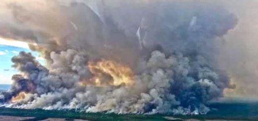 當心！美東南森林大火延綿5萬平方公里，林業廳警告遠離危險路段