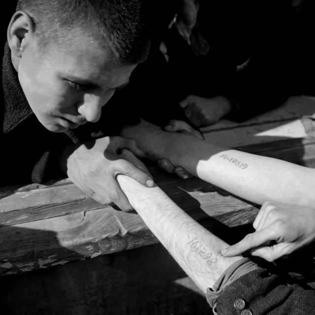 “我把她的编号纹在了左臂上，她却把这个号码刻在了我心里”….70年前的奥斯维辛集中营，为了让爱人看到生的希望，那位纹身师拼尽全力救助犹太同胞….