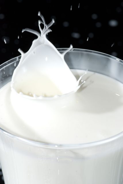哈佛研究，每天喝這種牛奶，帕金森症風險將增加39%