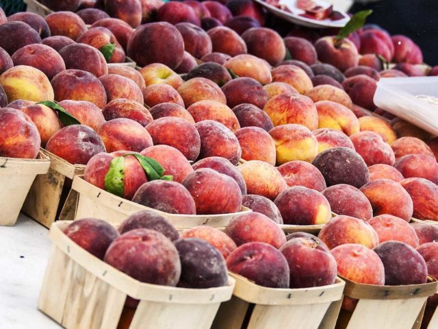 全美18州这几种水果被召回，罪魁祸首是李斯特菌！