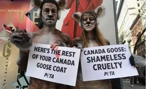 华人穿加拿大鹅惨遭羞辱！是不是现在穿有点low了？