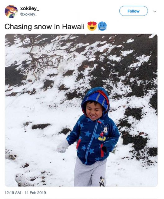 Hawaii也下雪！昨天Maui岛惊见有史以来海拔最低的降雪纪录
