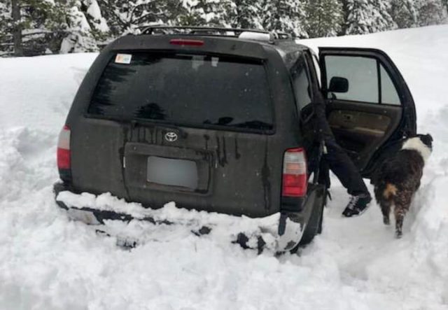 一名男子和狗被大雪困在车里5天，靠吃袋装酱料生存