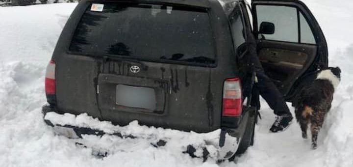 一名男子和狗被大雪困在车里5天，靠吃袋装酱料生存