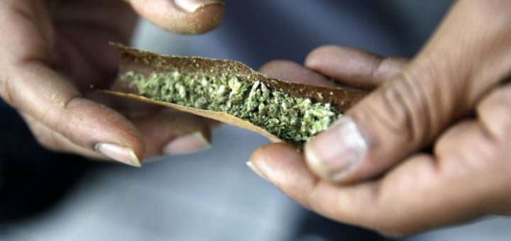 調查顯示，四分之一的大麻使用者在上班時吸食【僑報記者雪丹3月13日西雅圖報道】根據對華盛頓州、俄勒岡州和科羅拉多州的大麻消費者的一項最新調查顯示，四分之一的大麻使用者承認在過去一年內曾經在上班時吸食大麻，而且很可能在投入工作之前已經因吸大麻而興奮。  一名男子將大麻捲成煙捲。圖片來源：美聯社  一名男子將大麻捲成煙捲。圖片來源：美聯社  這項調查由民意調查機構DHM Research進行，在西雅圖和波特蘭設有辦事處的營銷傳播公司奎因·托馬斯（QuinnThomas）為其提供調查資金。調查人員在今年1月8日至14日期間，選取了900名大麻消費者作為代表性樣本，對他們進行了訪談，華盛頓州、俄勒岡州和科羅拉多州各有300名消費者入選。調查的誤差幅度為正負3.3%。  奎因·托馬斯的副總裁扎克·諾靈（Zach Knowling）表示，目前已有很多關於大麻產業及其監管機構的信息，但對其消費者的了解並不多，這項調查研究可以更好地了解這些獨特的受眾。  2012年，華盛頓州和科羅拉多州通過了選民使大麻娛樂性使用合法化的倡議，成為美國大麻合法化的先驅。俄勒岡州在2014年跟進。調查顯示，合法化後，許多大麻消費者增加了他們的使用量。在華州，44％的受訪者表示他們現在已經成為日常消費者（每天或每周吸食幾次），而在俄勒岡州，這一比例為52%。  隨著大麻合法化，這種煙草似乎已進入主流。事實上，調查數據顯示，休閑大麻的消費者與普通人並無二致，他們的收入水平和教育程度與美國家庭的平均值非常接近。在接受調查的三個州當中，大麻使用者在種族和民族，年齡，政黨關係和其他人口統計因素方面與一般人口分布相匹配。不過有一個重要的例外：性別。調查顯示，大麻消費者中男性佔比約為60％。  儘管大麻在上述三個州是合法的並且廣受歡迎，但絕大多數大麻消費者，佔比約79％，仍然認為會有一些揮之不去的恥辱感。只有大約一半的人表示，家人和朋友對他們吸食大麻無感。即使覺得社會上存在著對大麻使用者的鄙視，很多大麻消費者並不隱藏自己的吸食行為， 至少在西雅圖是如此，街頭巷尾瀰漫的大麻味已經成為西雅圖城區的特徵之一。雖然絕大多數受訪者表示家庭是他們消費大麻的主要地方，但超過六分之一的人說他們通常在家以外的地方吸食。  參與調查的受訪者表示有必要了解有關大麻使用安全和健康的準確信息，有約一半的人表示他們信任當地的零售商。相比之下，只有38％的人表示他們只信任醫療保健者提供的大麻。捲成香煙是大麻最常被消費的方法，另有約18％的人通常食用大麻食品，其次是使用大麻噴霧和大麻油或面霜。近四分之一的受訪者表示他們使用大麻是作為酒的替代品，但選擇使用大麻的兩個最常見的原因是減輕壓力和焦慮，以及減少疼痛。  雖然對於很多上班族來說工作壓力很大，但在工作期間吸食大麻並不是一個好主意，而且很容易影響工作效率，這也是為什麼很多公司對員工進行藥物測試的原因。調查顯示，工作時吸大麻至興奮是一項相當普遍的活動，21%的受訪者表示他們在過去一年內接受過大麻藥物測試，而相同比例的人表示為了通過測試他們在一段時間內停止使用大麻，不過有9%的受訪者沒能通過測試。