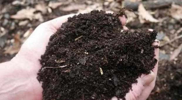 華盛頓州即將簽署全美首個人類遺體堆肥法案