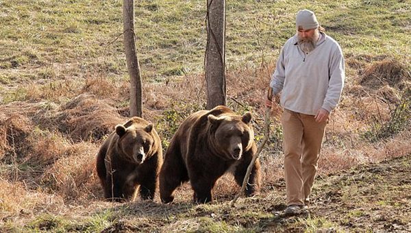 美國一養熊人講述養熊經歷 稱它們不是寵物