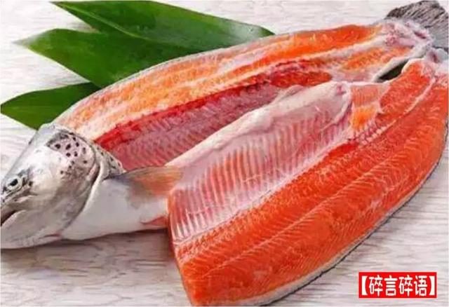 三文魚是全世界最毒的食物！