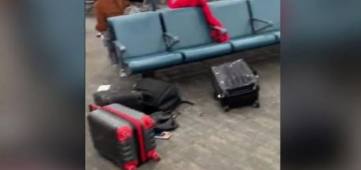 紐瓦克航站樓驚響警報 旅客丟下行李忙逃離 最後發現……