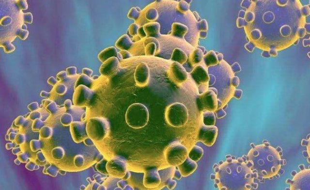 外媒：WHO不認為新冠病毒是突發公共衛生事件，正式發布會即將召開