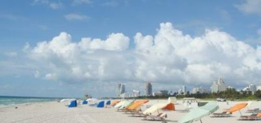 耗费1600万 美国政府每天把沙倒在迈阿密海滩上