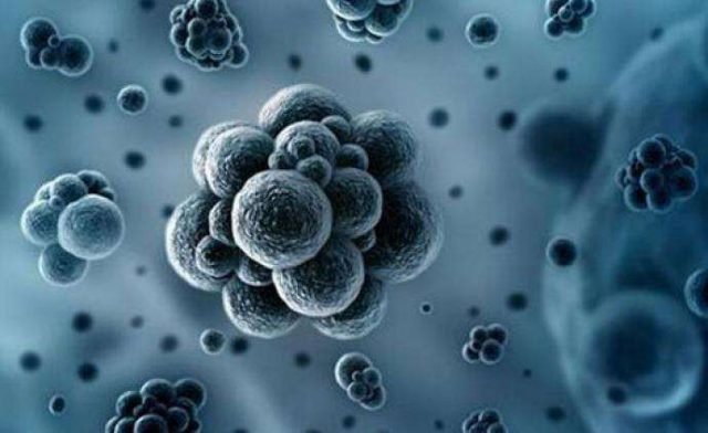 新冠病毒患者糞便測出核酸陽性 意味著什麼？