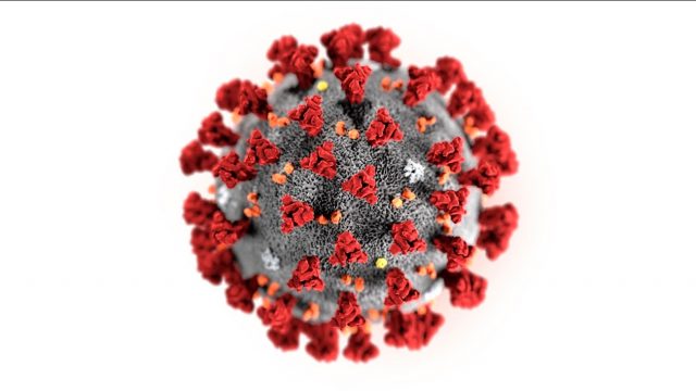 美國首席專家警告：新冠病毒可能成為季節性疾病
