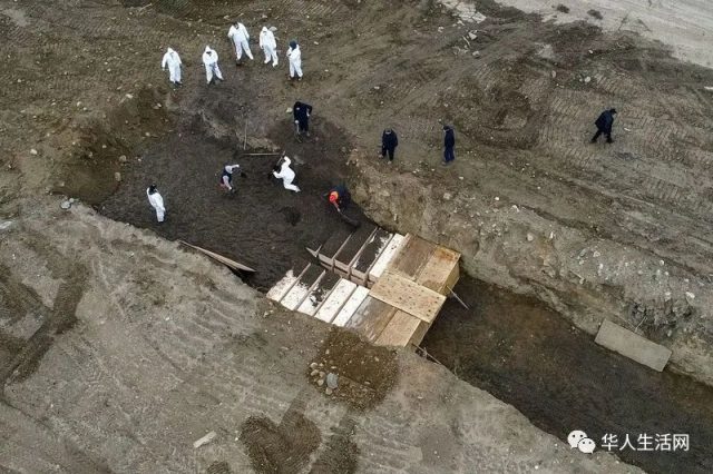 紐約驚人一幕，無人機拍到壕溝集體埋葬，多個公園成臨時墳場