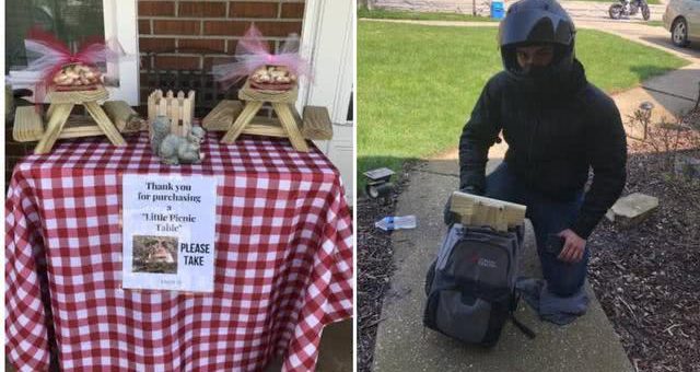 因禍得福？這位美國媽媽因為疫情失業後，靠給松鼠做野餐桌發財了