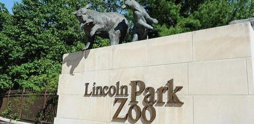 林肯公園養老院新冠爆發4人死亡 公交上男子毆打咳嗽護士 多地命令居民公共場合戴口罩
