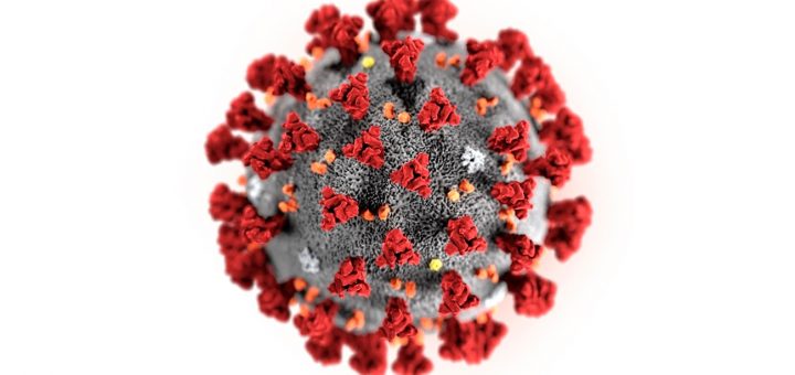 世卫组织警告：新冠病毒可能永远不会消失