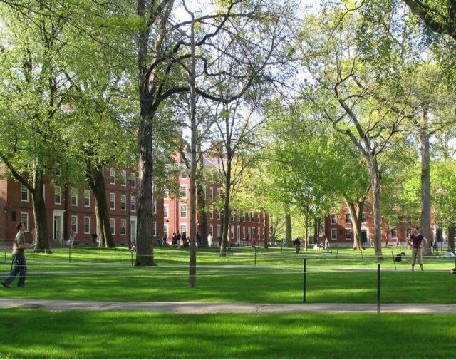 哈佛大学宣布取消SAT成绩要求 申请明年入学可不提交