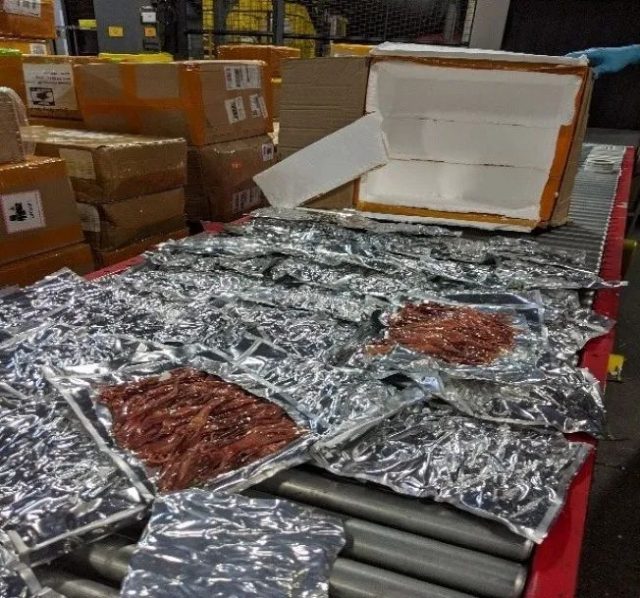 真夠饞! 華人藏85磅鴨舌 當場被海關沒收銷毀 還有人帶帶肉包子 醬豬蹄...