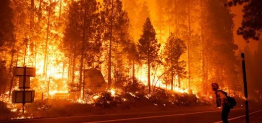 揭曉寶寶性別搞出森林大火，這家人如今可能被索賠數百萬美元…