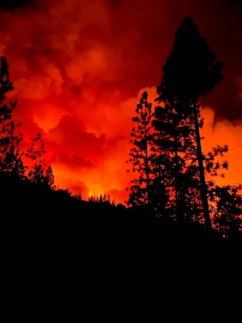 揭曉寶寶性別搞出森林大火，這家人如今可能被索賠數百萬美元…