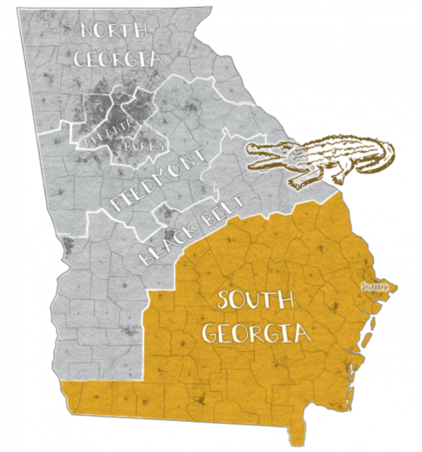 美国大选：南方州乔治亚是如何变蓝的