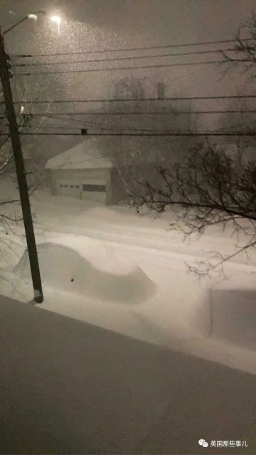 纽约州天降暴雪足足一米厚！车和房全都被埋了，只剩白茫茫！