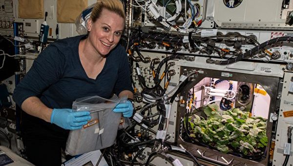 史上首次 美太空人採收在外太空種植的蘿蔔