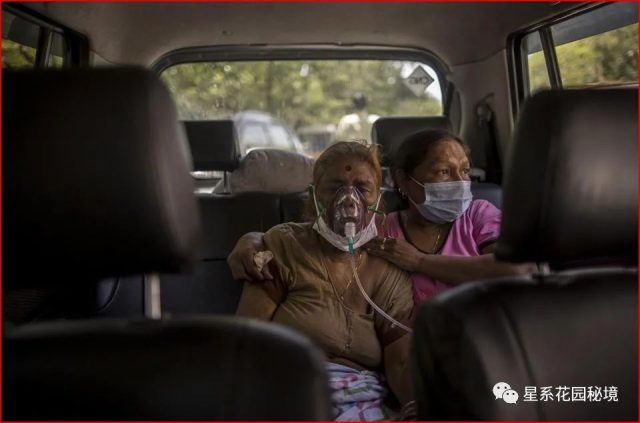 驚悚詭異！中國香港查出52個印度乘客全部感染新冠病毒！登機前全陰性