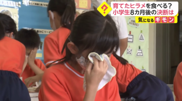 命令小學生親口吃掉自己養了8個月的寵物魚，日本學校惹巨大爭議