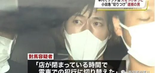 东京电车无差别杀人案，凶手：我就是想杀看起来幸福的女性