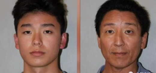 加州華裔父子去夏威夷旅遊被逮捕，原來是弄了張假證...