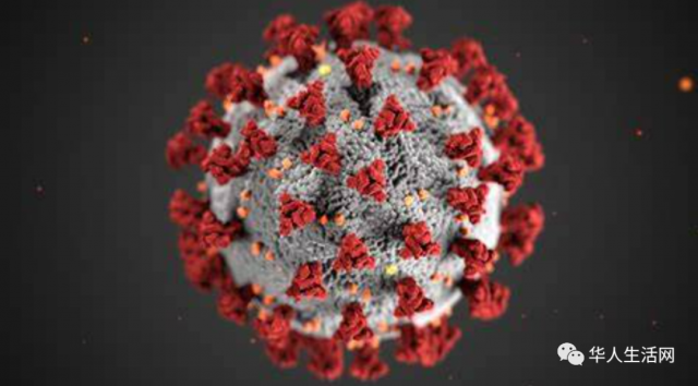 重磅！美国疫情现曙光，专家最新研究：新冠病毒将流感化！