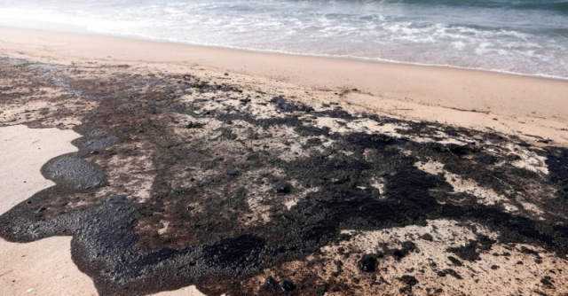 近13萬加侖石油泄露進海，橙縣致信拜登宣布重大災難，當地生態面臨威脅
