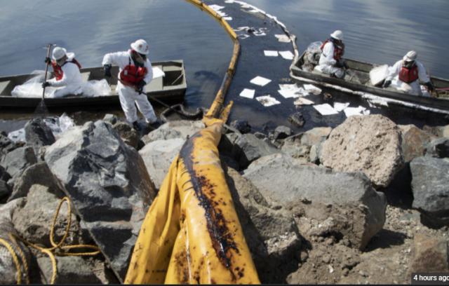 近13萬加侖石油泄露進海，橙縣致信拜登宣布重大災難，當地生態面臨威脅