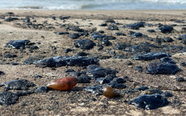 近13万加仑石油泄露进海，橙县致信拜登宣布重大灾难，当地生态面临威胁