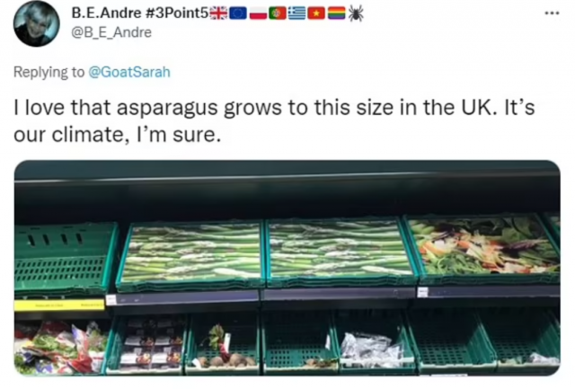 美国部分超市在空货筐上盖食物照片应对食物短缺。民众：在考我们智商？
