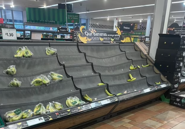 美國部分超市在空貨筐上蓋食物照片應對食物短缺。民眾：在考我們智商？