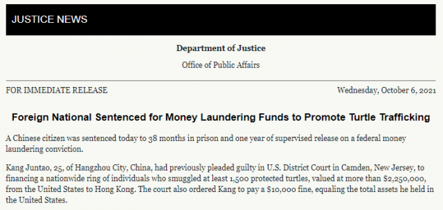 這事不能幹！多名中國人走私烏龜被美國抓捕，還有留學生因此判刑！