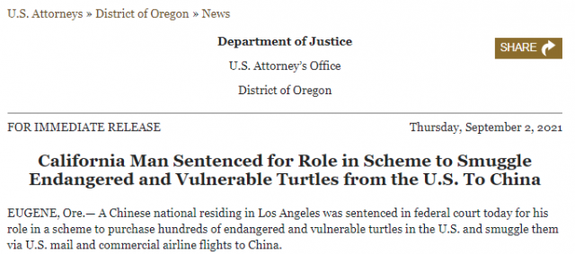 这事不能干！多名中国人走私乌龟被美国抓捕，还有留学生因此判刑！