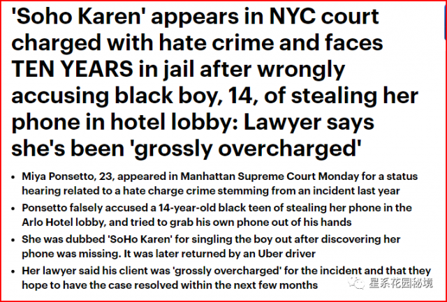 判刑十年！纽约一女子称被黑人偷走了手机，遭法官判其诬告、仇恨、严重骚扰获刑…律师称这种判罚太离谱