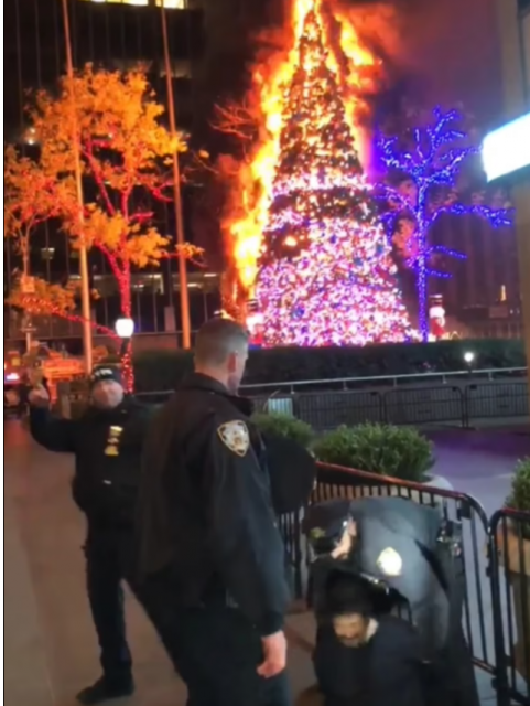 日裔流浪汉一把火烧毁巨型圣诞树，几个小时被无保释放