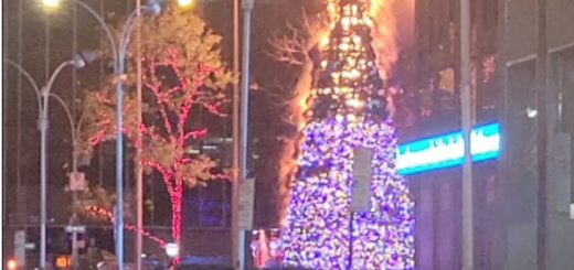 日裔流浪漢一把火燒毀巨型聖誕樹，幾個小時被無保釋放