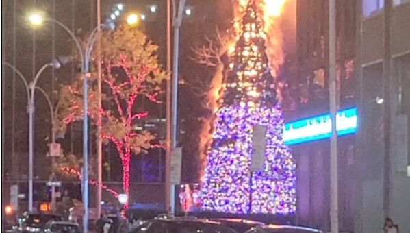 日裔流浪汉一把火烧毁巨型圣诞树，几个小时被无保释放