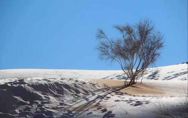 异常天气再现，罕见世界奇观，雪落撒哈拉沙漠