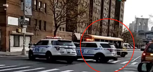 紐約67歲華裔老人被校車捲入車底,搶救一個多月終不幸身亡。