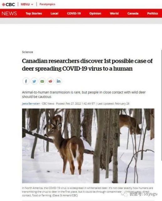 【最新疫情】加拿大发现疑似新冠“鹿传人”|​圣地亚哥两大学区要求学生继续戴口罩