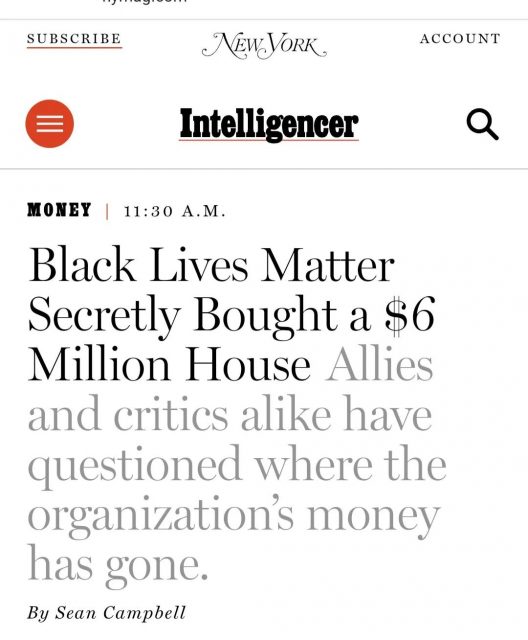 BLM发起人用民众捐款秘密购买600万美元豪宅？！网友：我们被耍了？？
