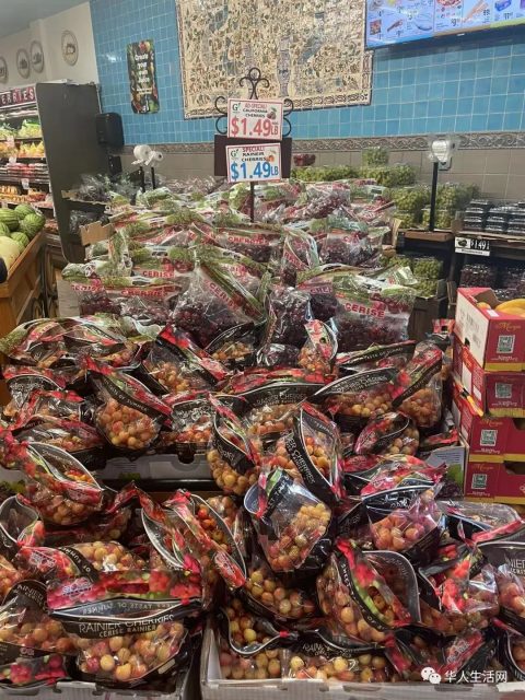 實探！開在華人區的中東超市，看完這彪悍菜價，華人超市都沉默了...